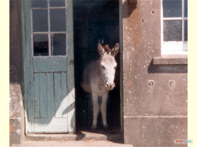 Annual Training - Bere Island 1981